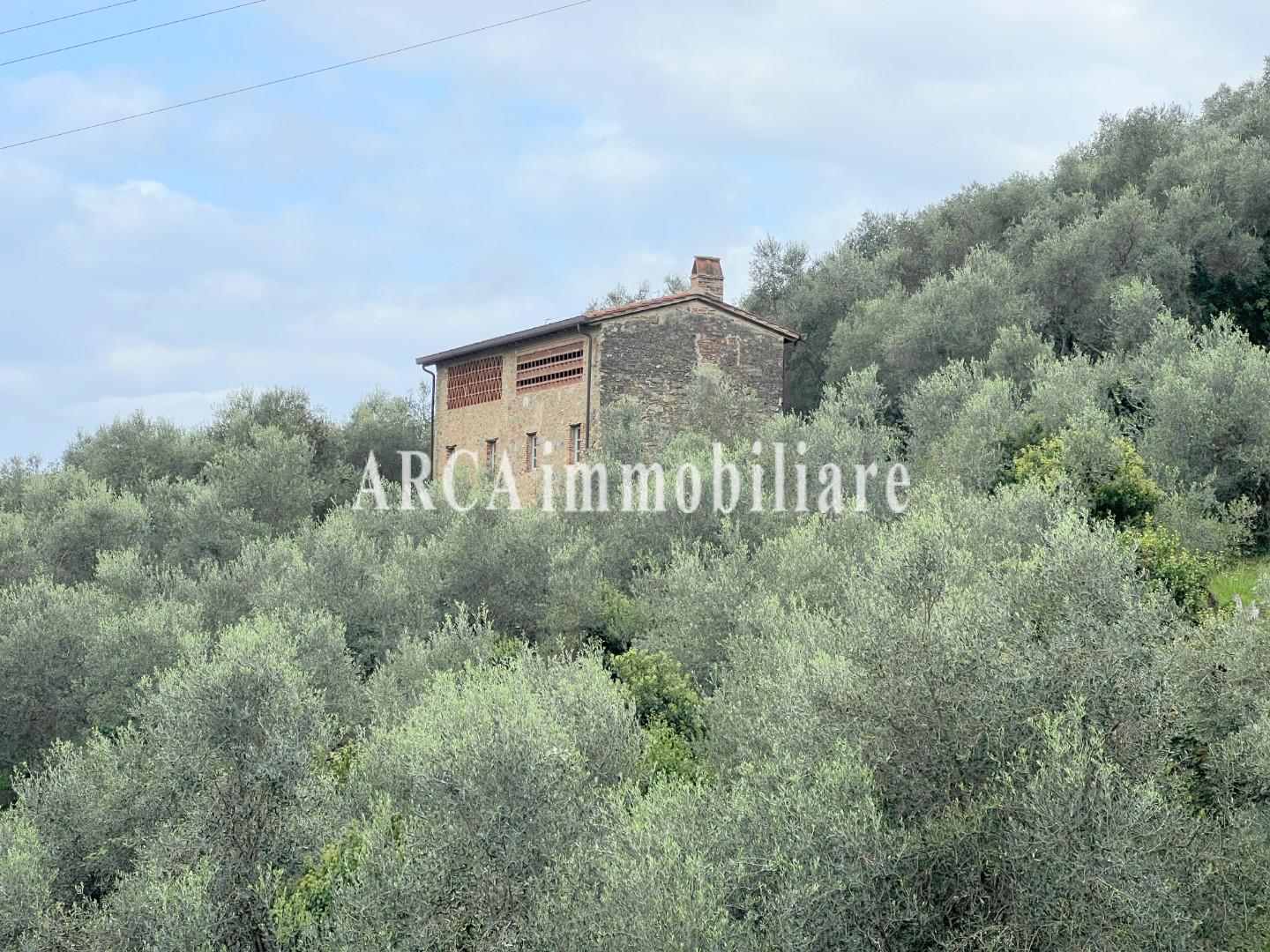 immagine annuncio 1 di 6