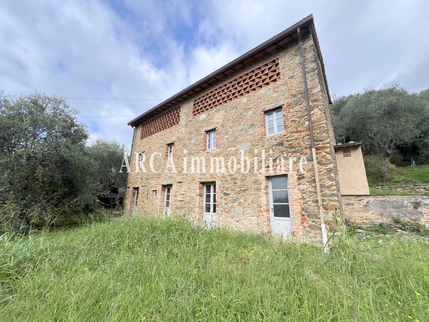 immagine annuncio 2 di 6