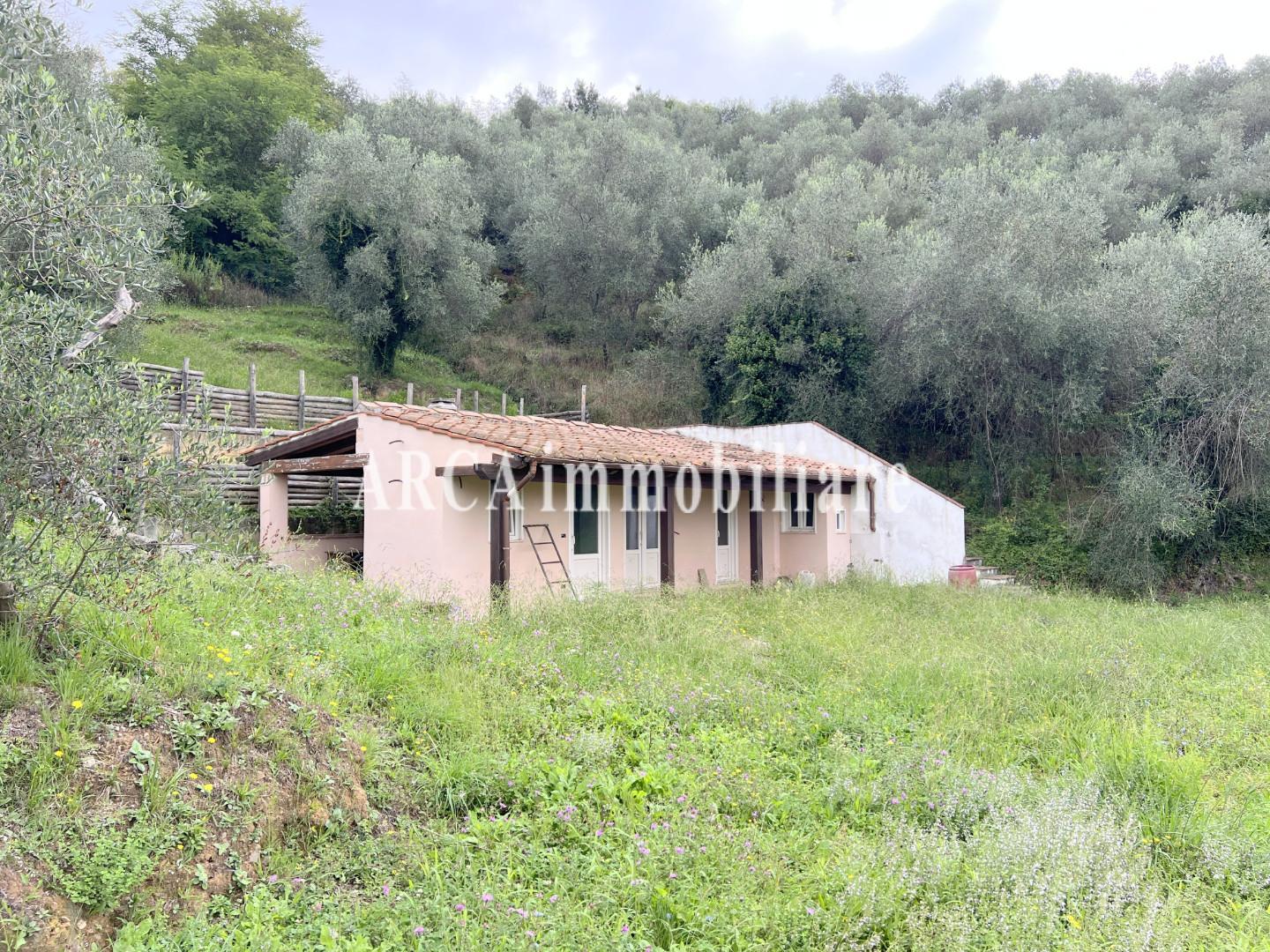 immagine annuncio 4 di 6