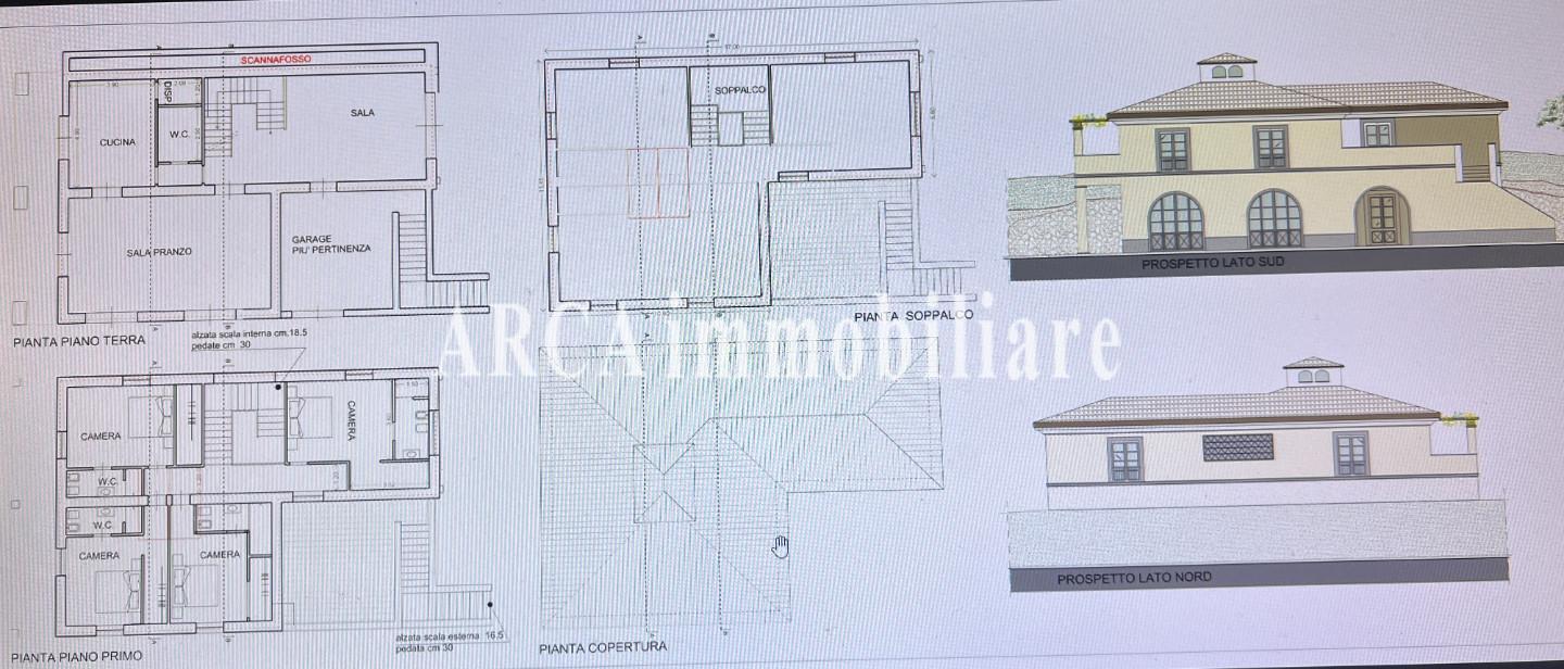 immagine annuncio 3 di 6