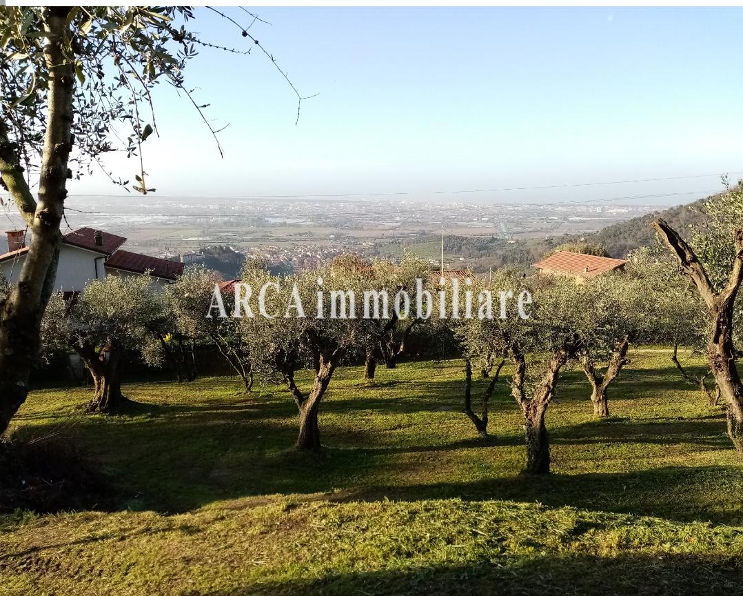 immagine annuncio 2 di 6