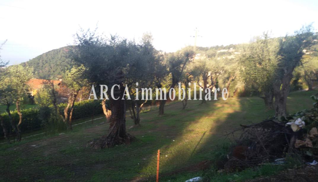 immagine annuncio 4 di 6