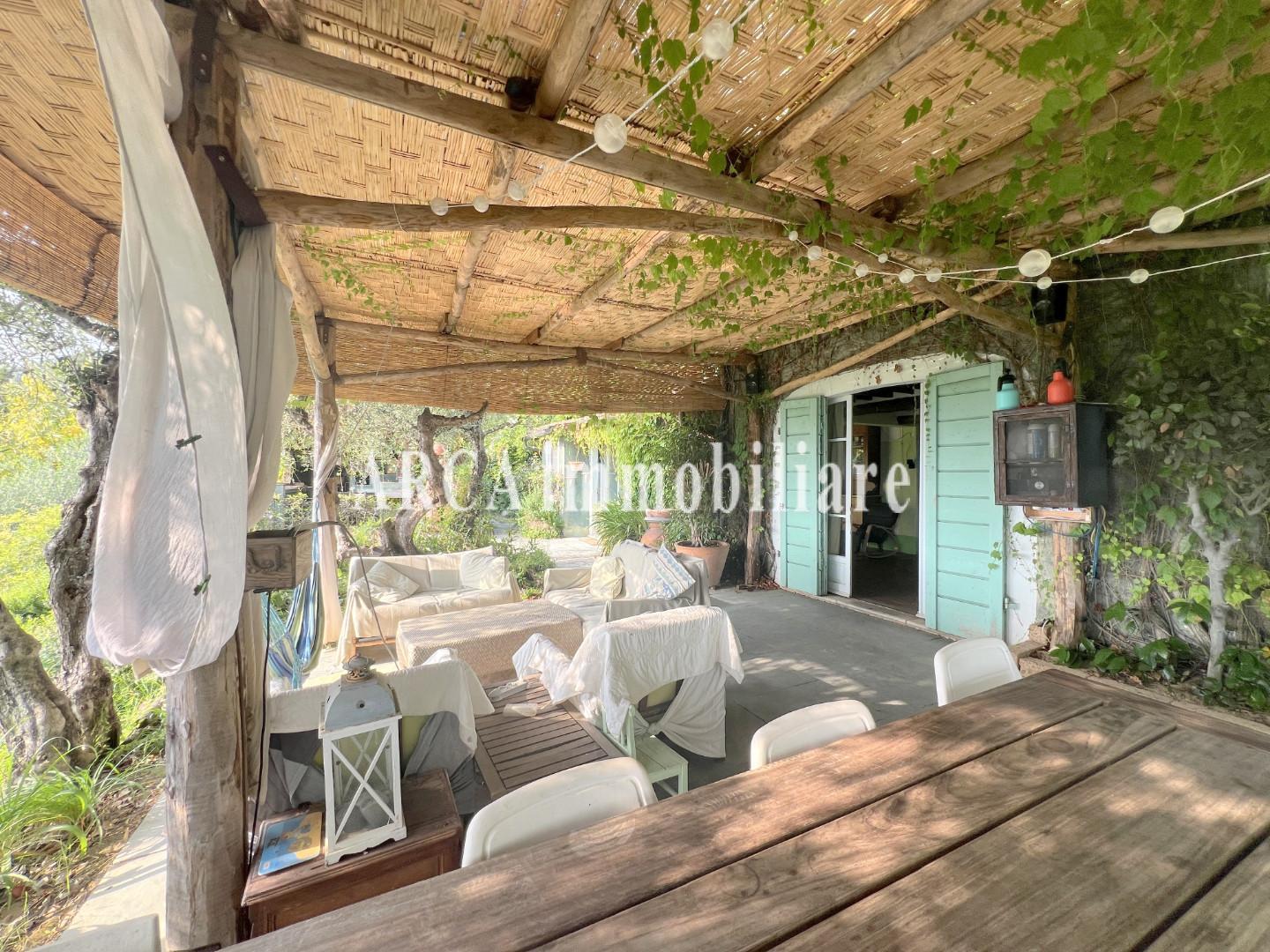 immagine annuncio 2 di 6