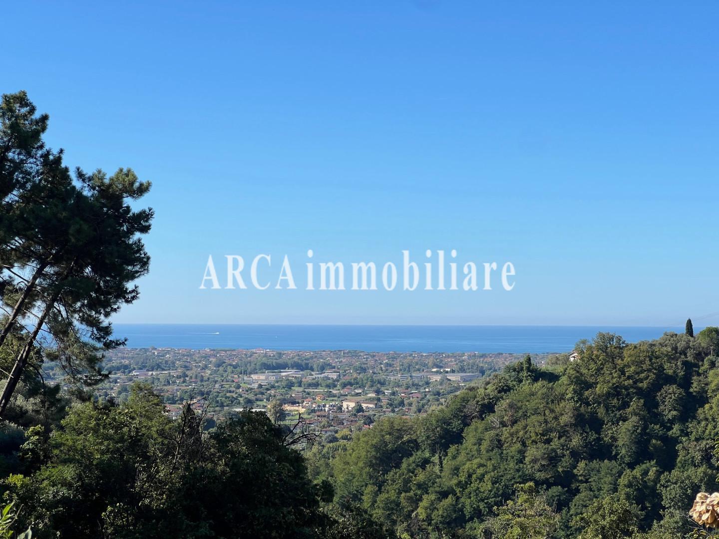 immagine annuncio 1 di 6