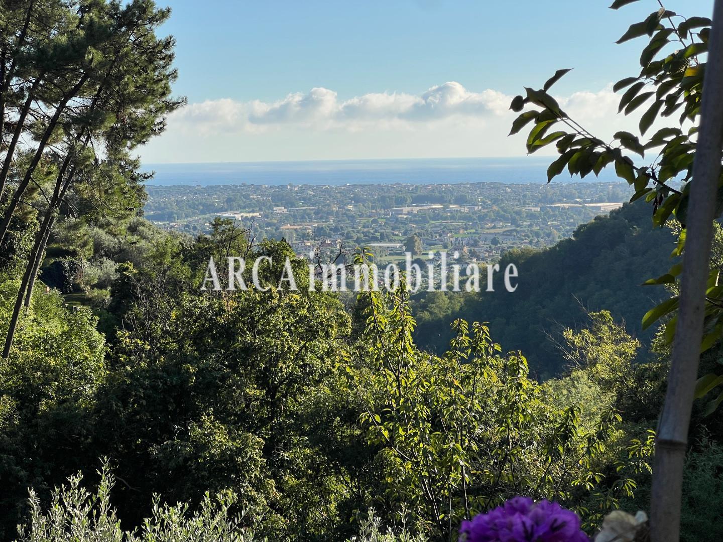 immagine annuncio 3 di 6