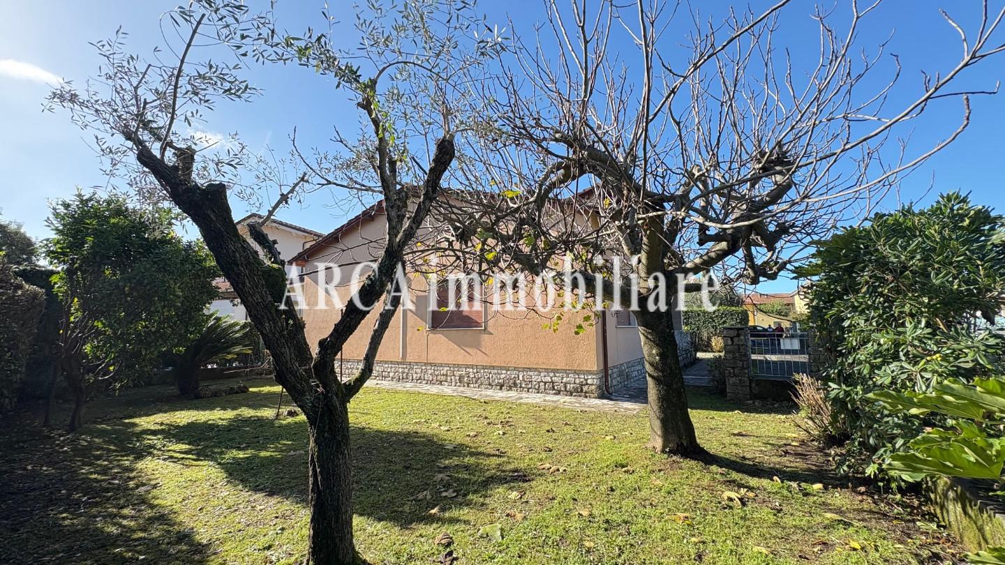 immagine annuncio 4 di 6