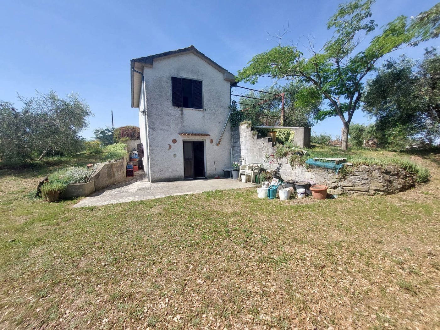 Terreno Agricolo in vendita a Scansano