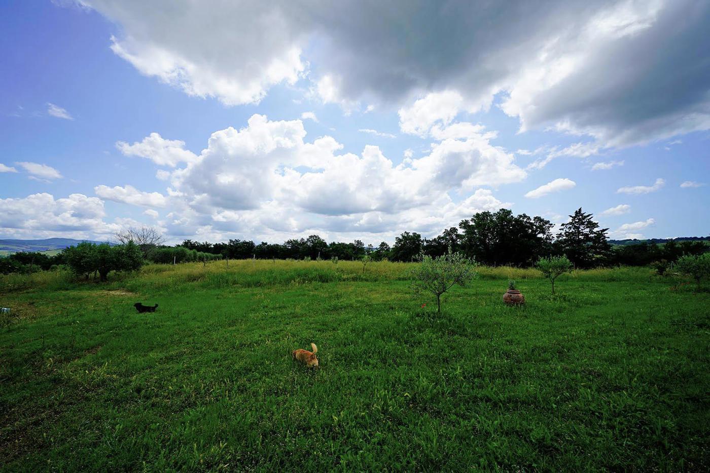 Villa in vendita a Castell'Azzara