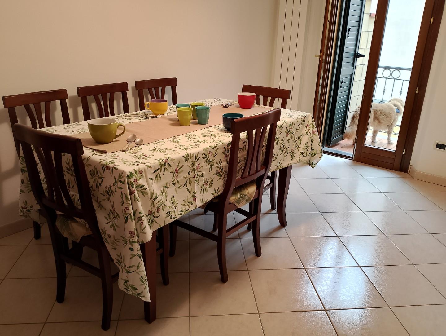 Quadrilocale arredato in affitto, Rosignano Marittimo caletta