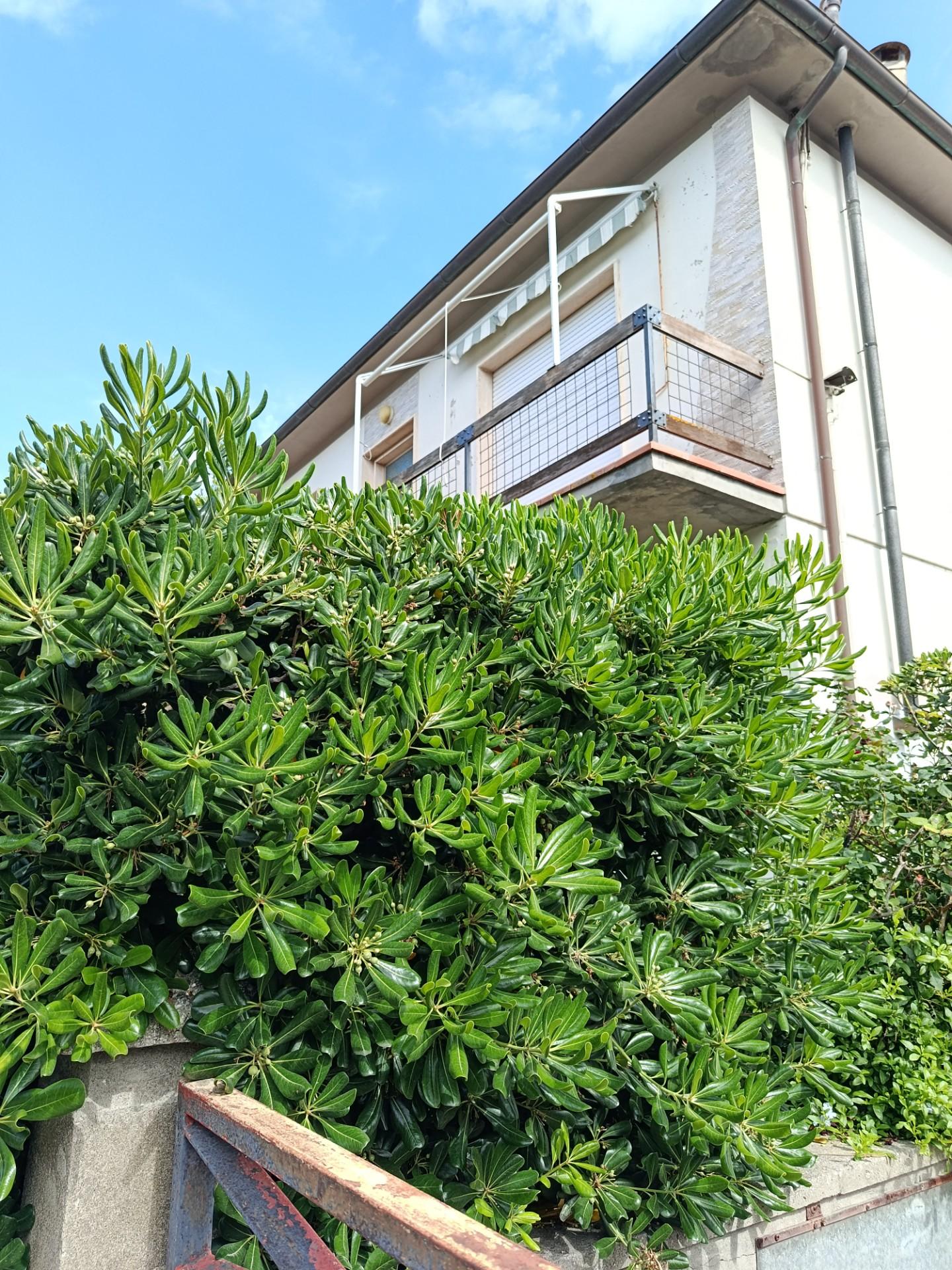 Villa Trifamiliari con giardino, Rosignano Marittimo rosignano solvay