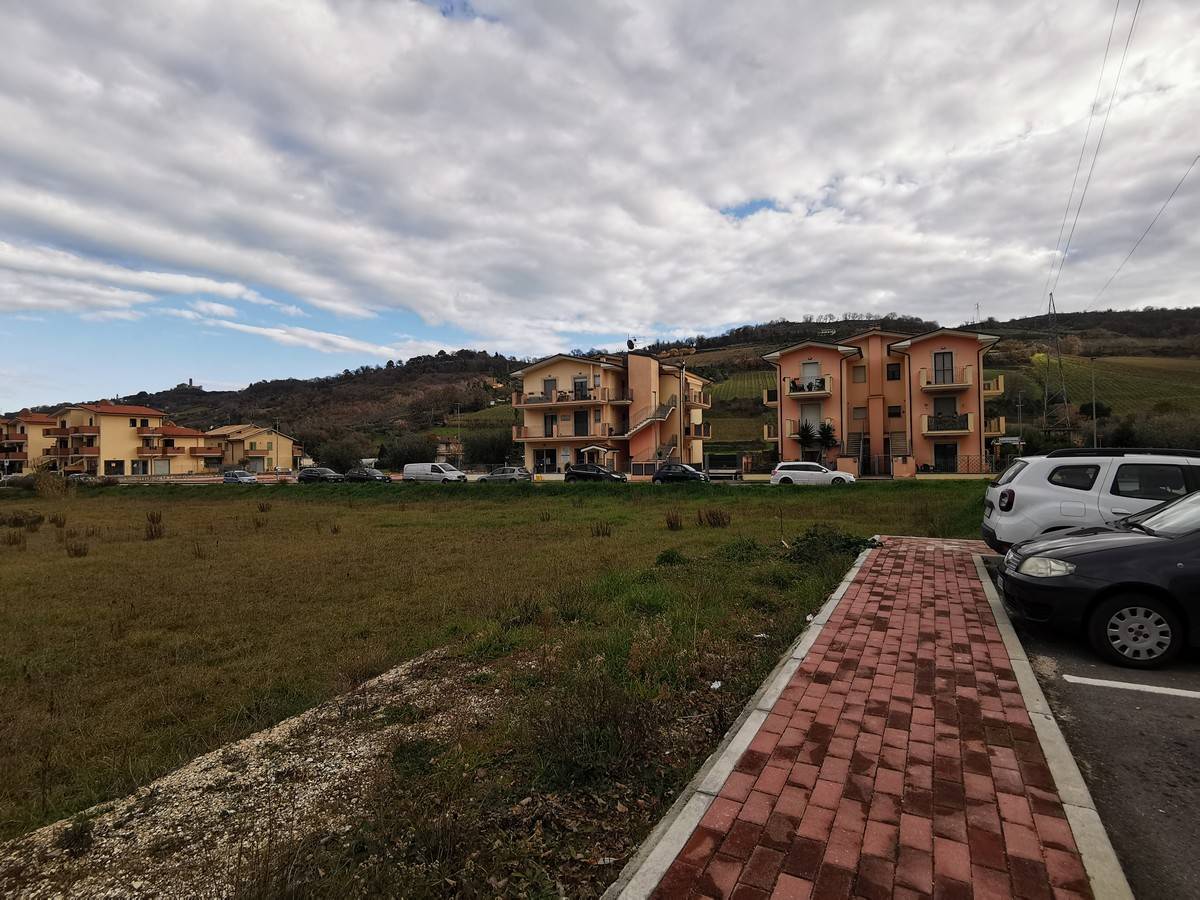 immagine annuncio 3 di 6