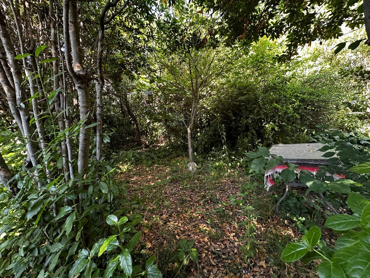 Rustico in vendita a Lapedona