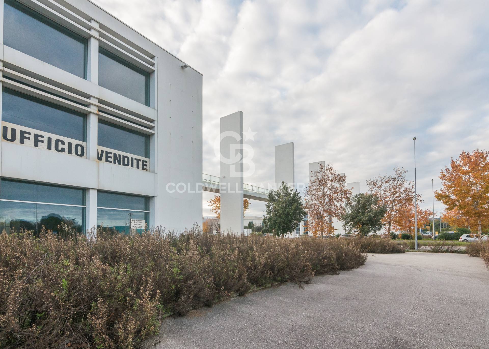 Edificio Industriale in vendita a Jesi