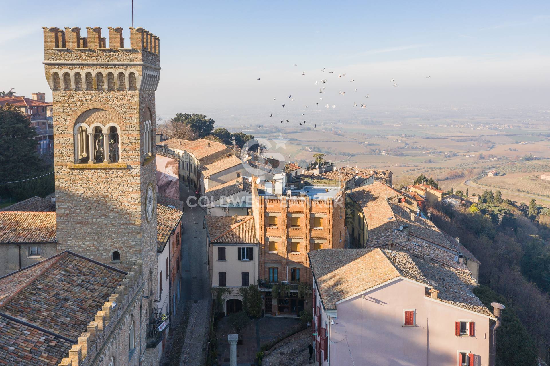 Attivit commerciale in affitto a Bertinoro