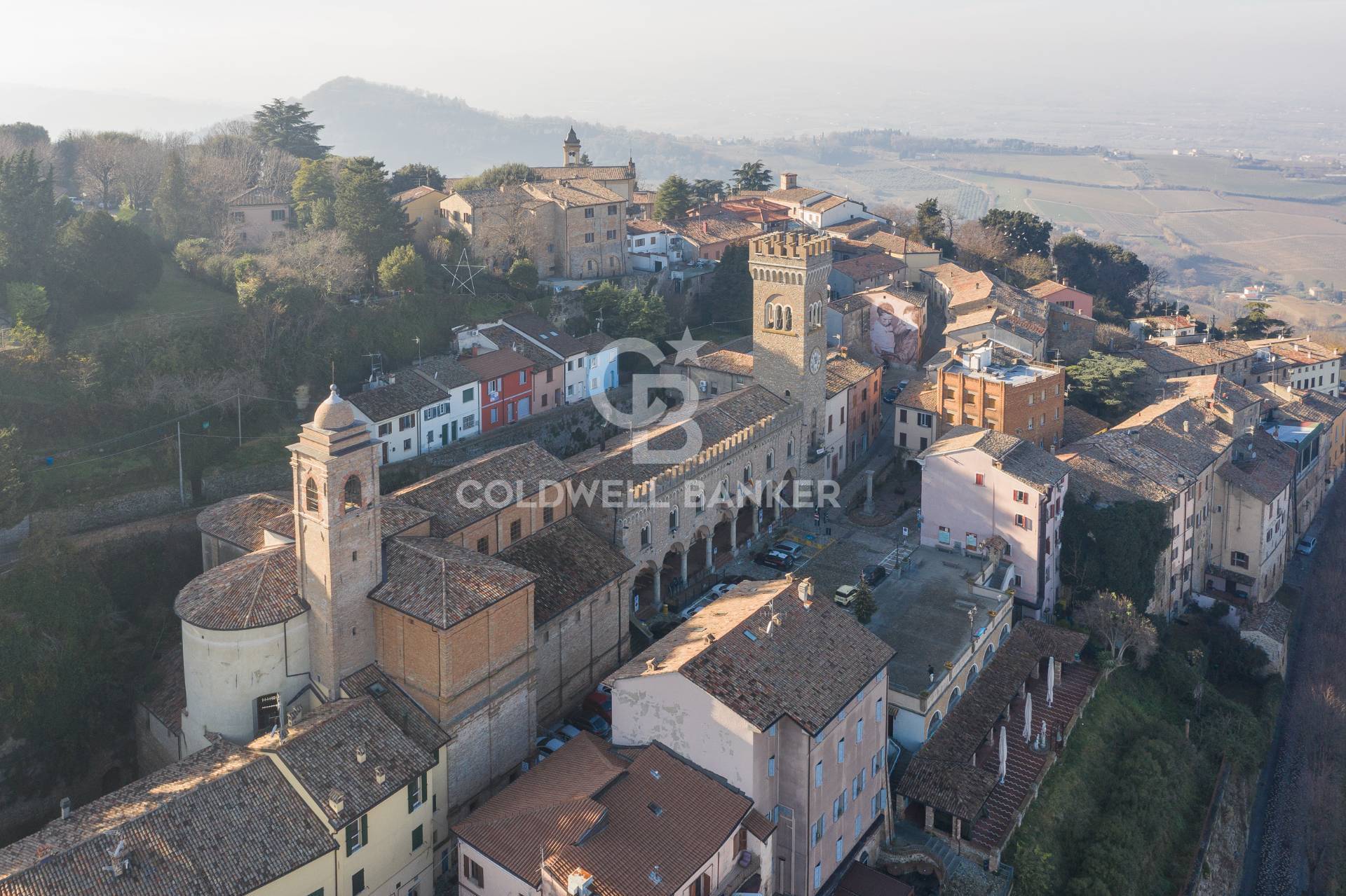 Attivit commerciale in affitto a Bertinoro