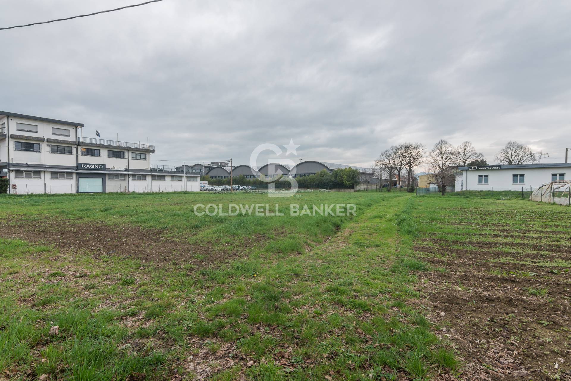 immagine annuncio 9 di 10