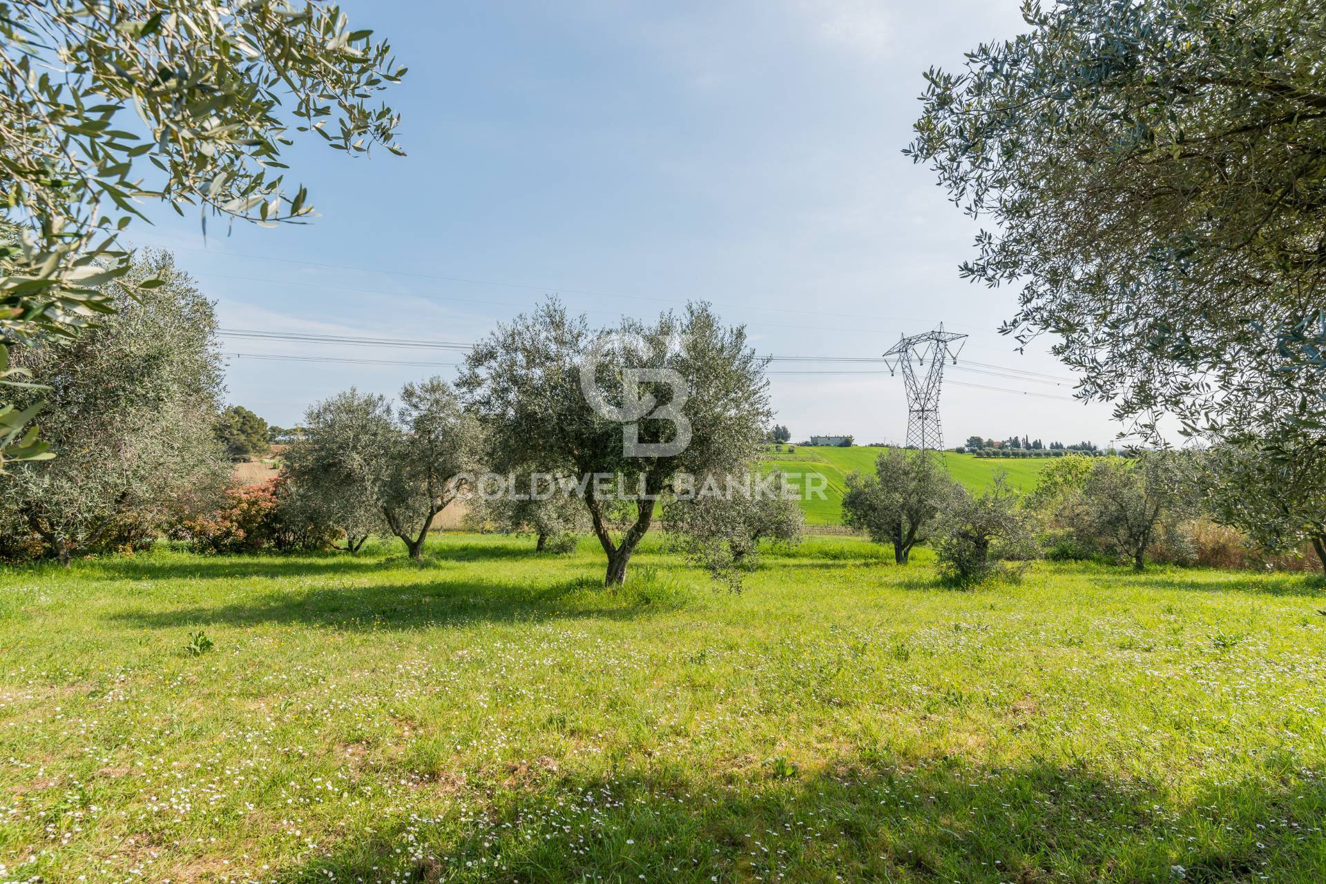 Villa in vendita a Misano Adriatico, Misano Monte