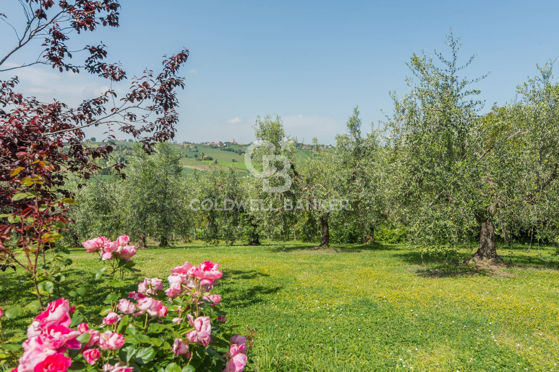 Villa in vendita a San Clemente