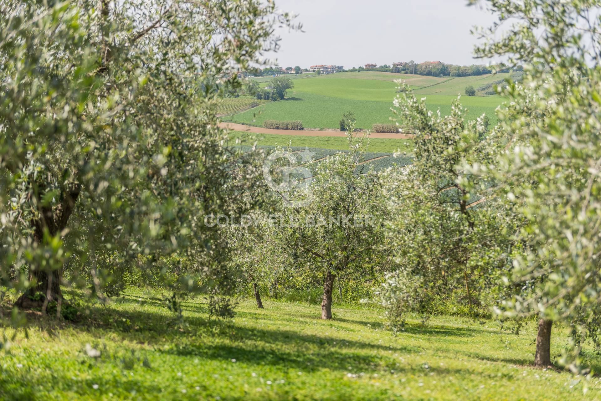 Villa in vendita a San Clemente
