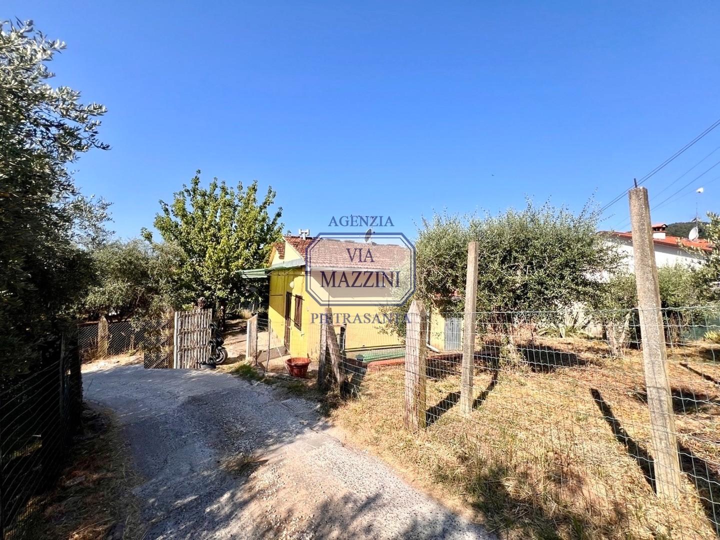 immagine annuncio 3 di 6