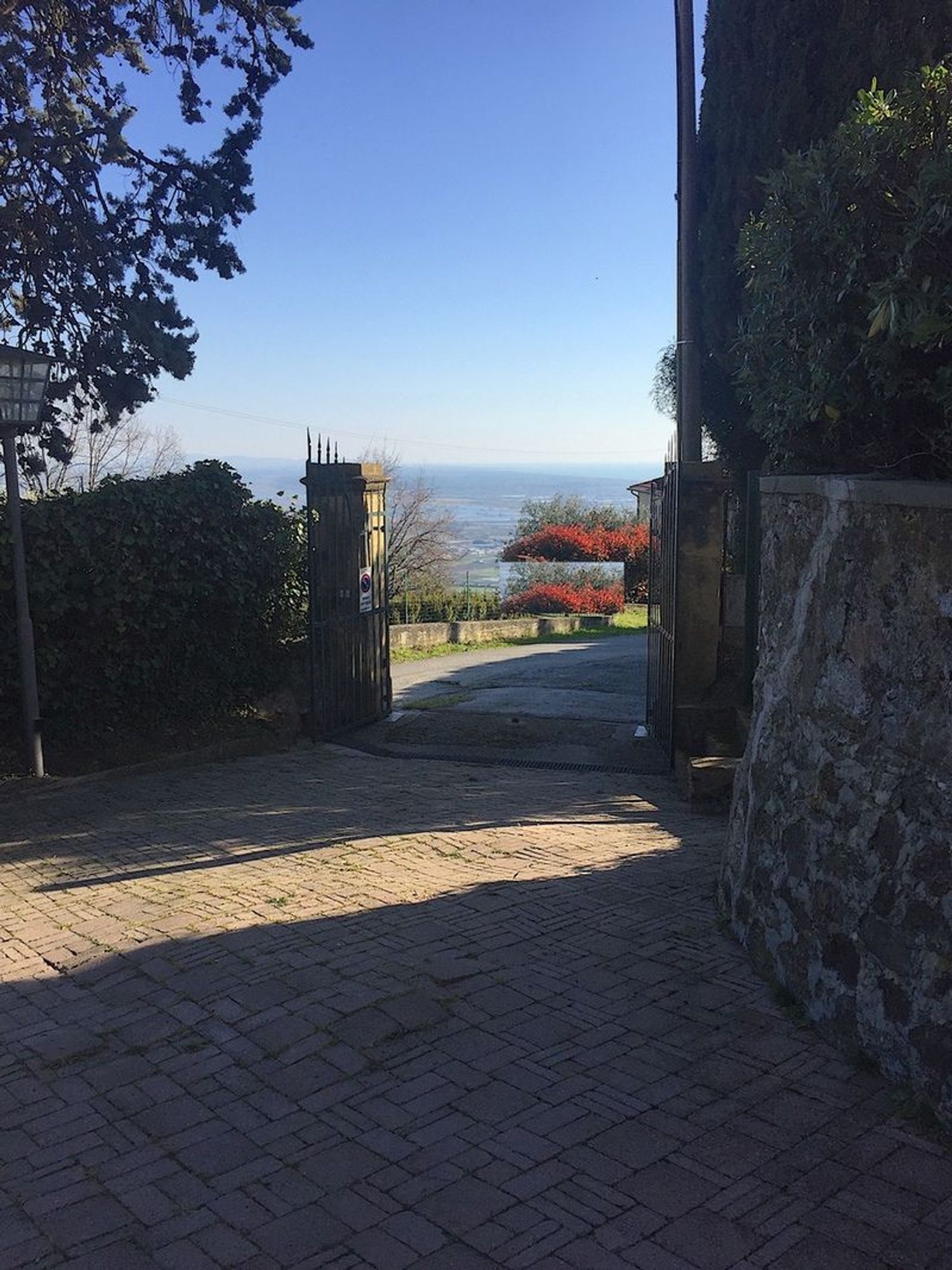 immagine annuncio 5 di 6
