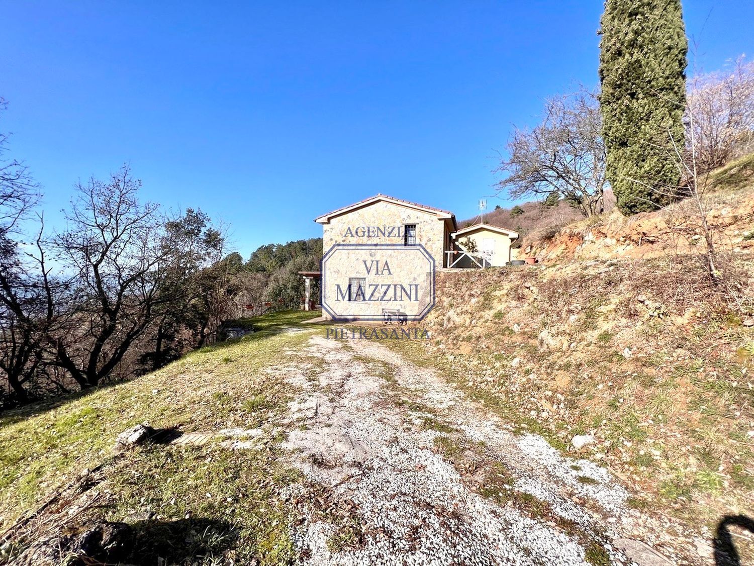 immagine annuncio 2 di 6