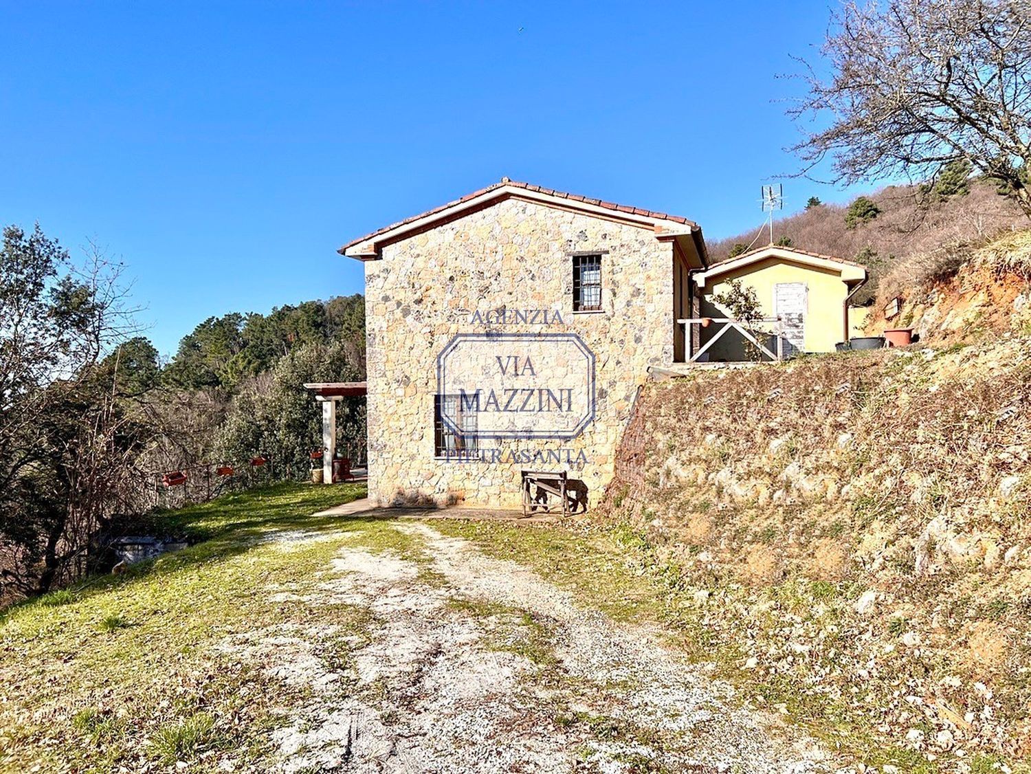 immagine annuncio 3 di 6