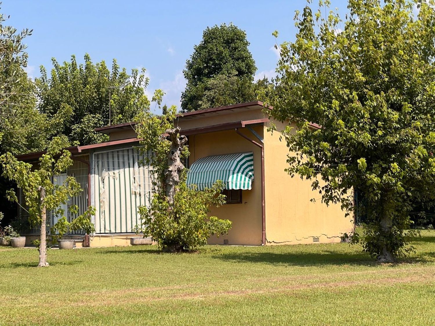 immagine annuncio 3 di 6