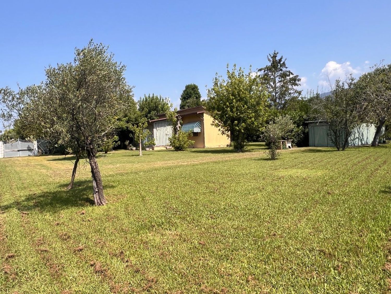 immagine annuncio 5 di 6