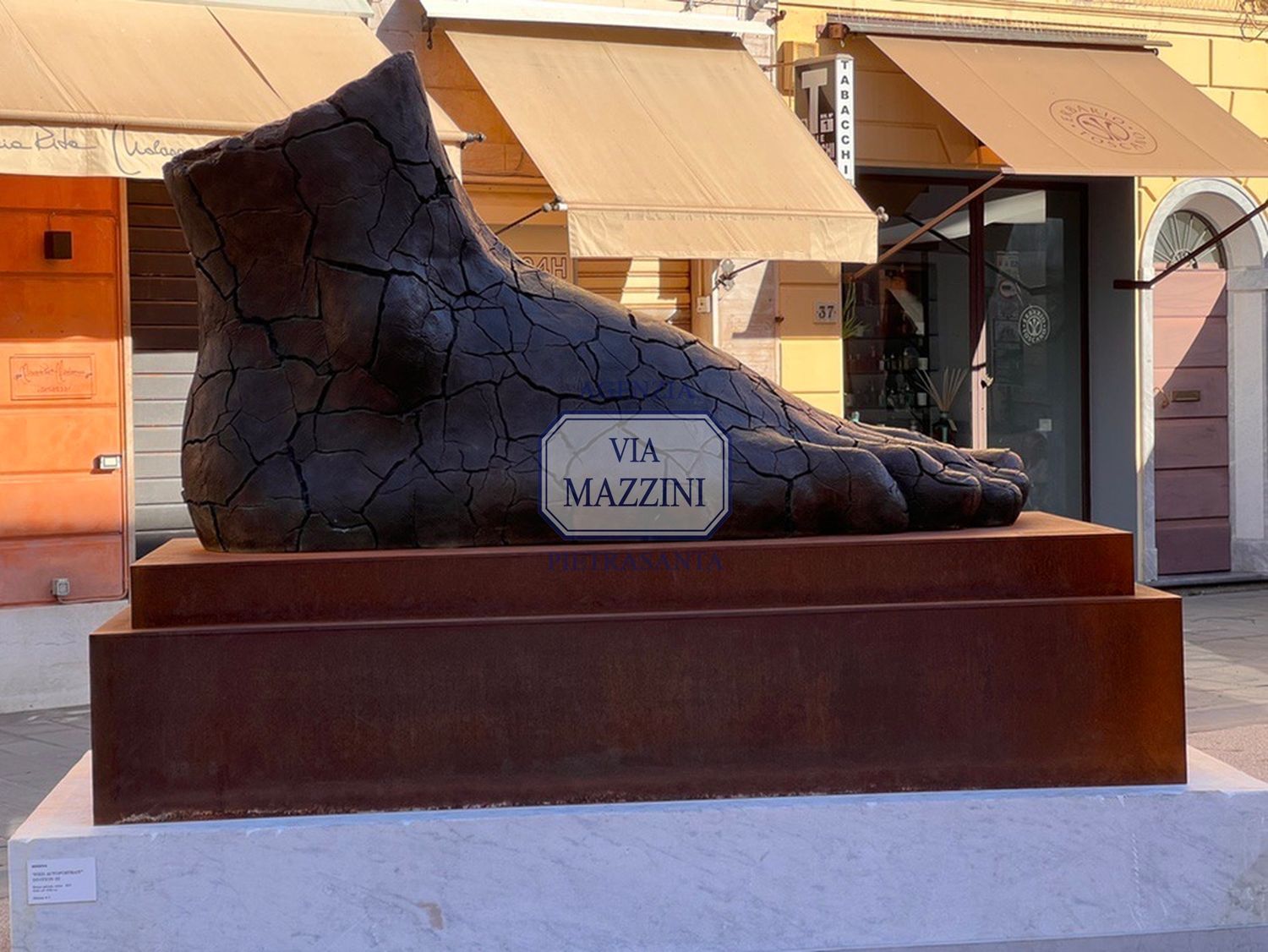 immagine annuncio 5 di 6