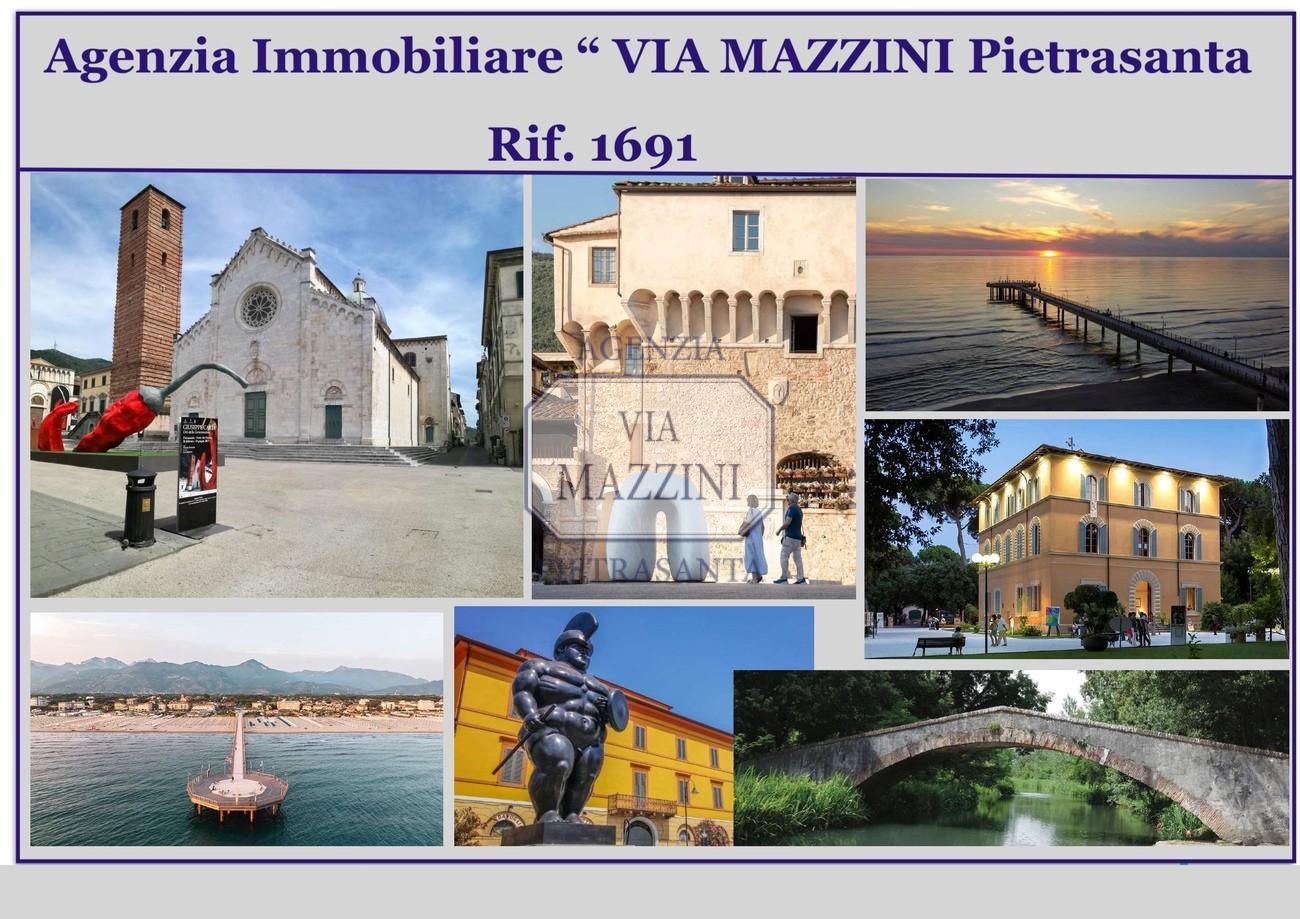 Villa con giardino, Pietrasanta macelli