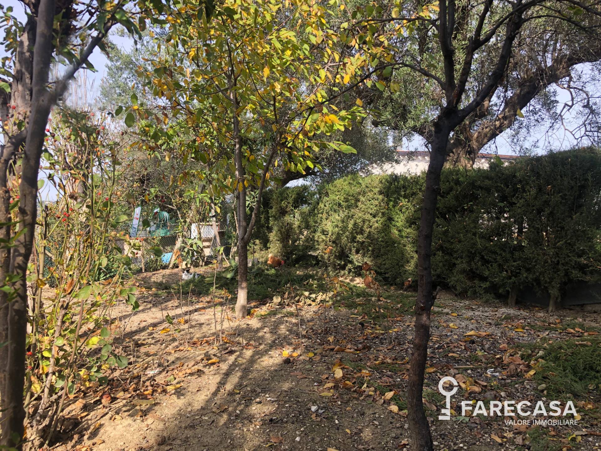 Casa singola in vendita a Bellante, San Mauro