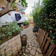 Appartamento con giardino, Massa quercioli