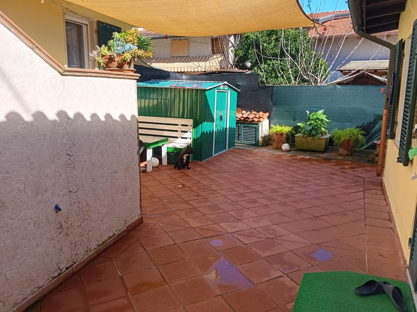 immagine annuncio 2 di 6