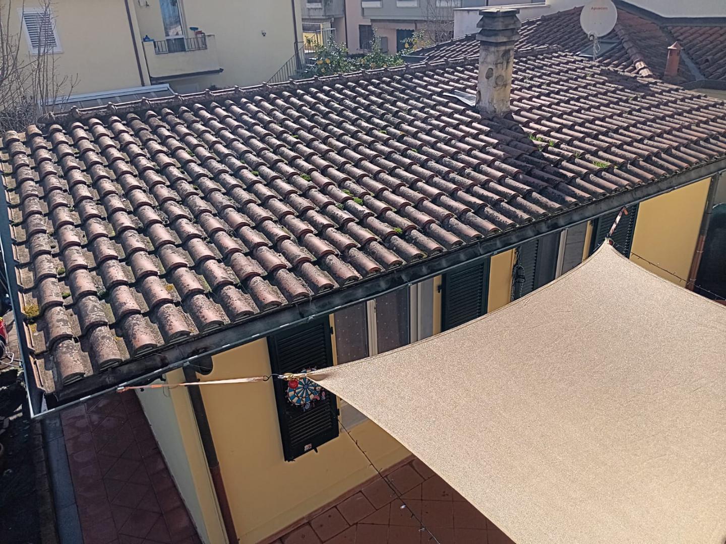 immagine annuncio 3 di 6