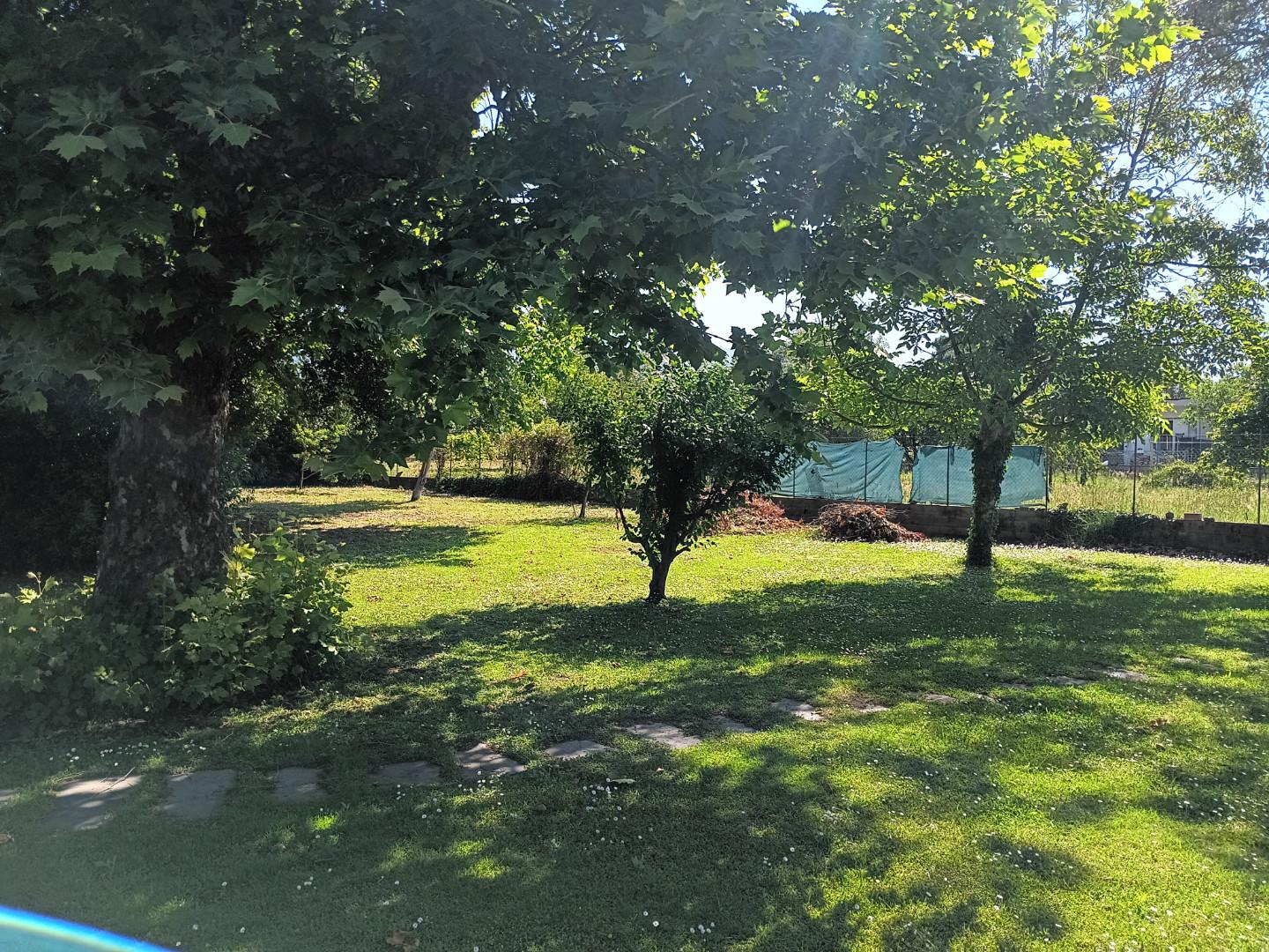Casa indipendente con giardino, Massa ronchi