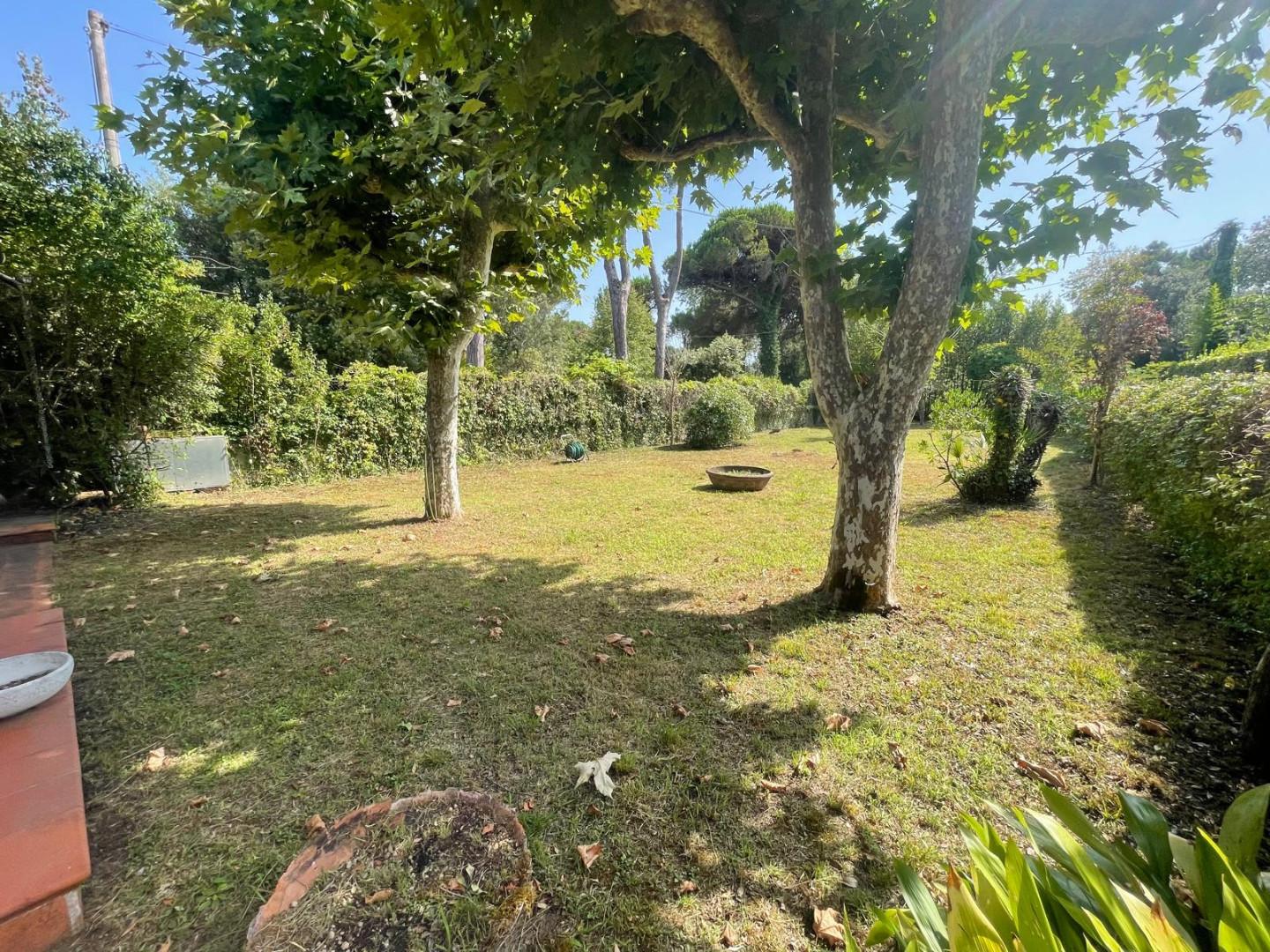 Casa indipendente con giardino, Massa ronchi