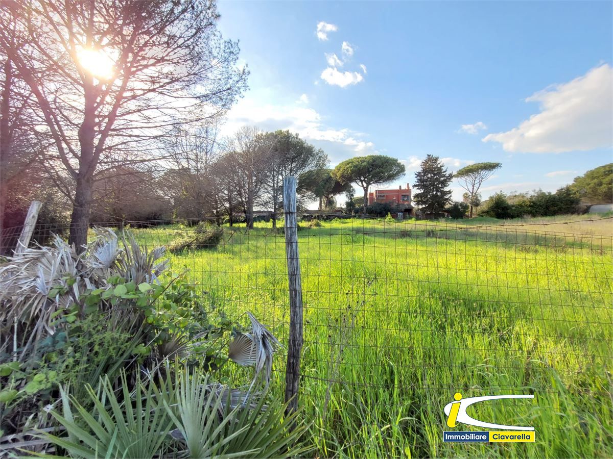 Terreno in vendita a Ladispoli