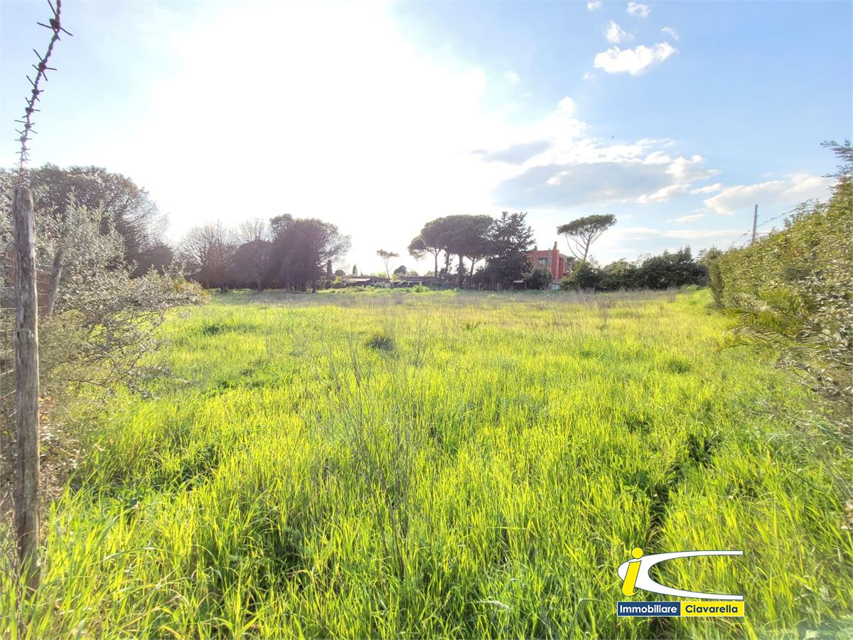 Terreno in vendita a Ladispoli