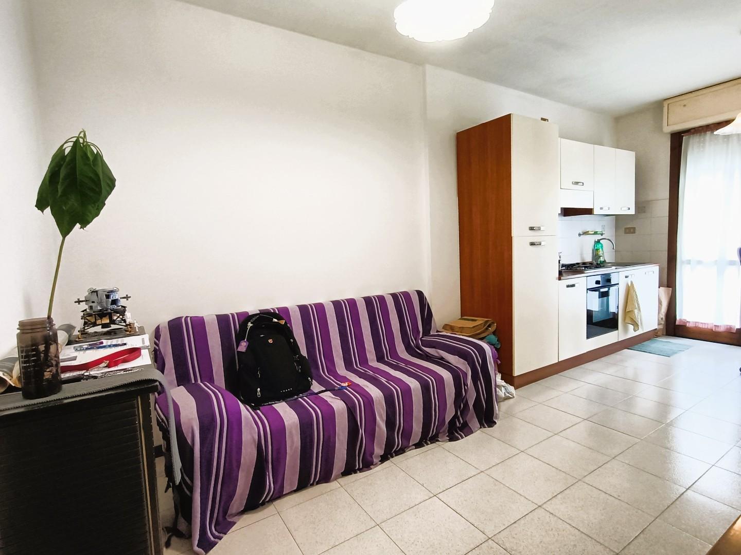 Bilocale arredato in affitto, Pisa cisanello