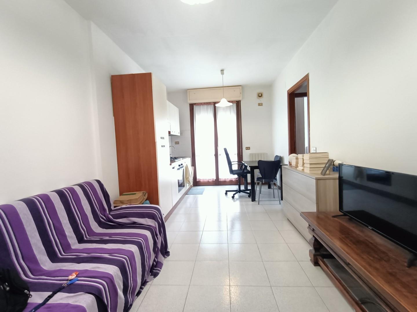 Bilocale arredato in affitto, Pisa cisanello