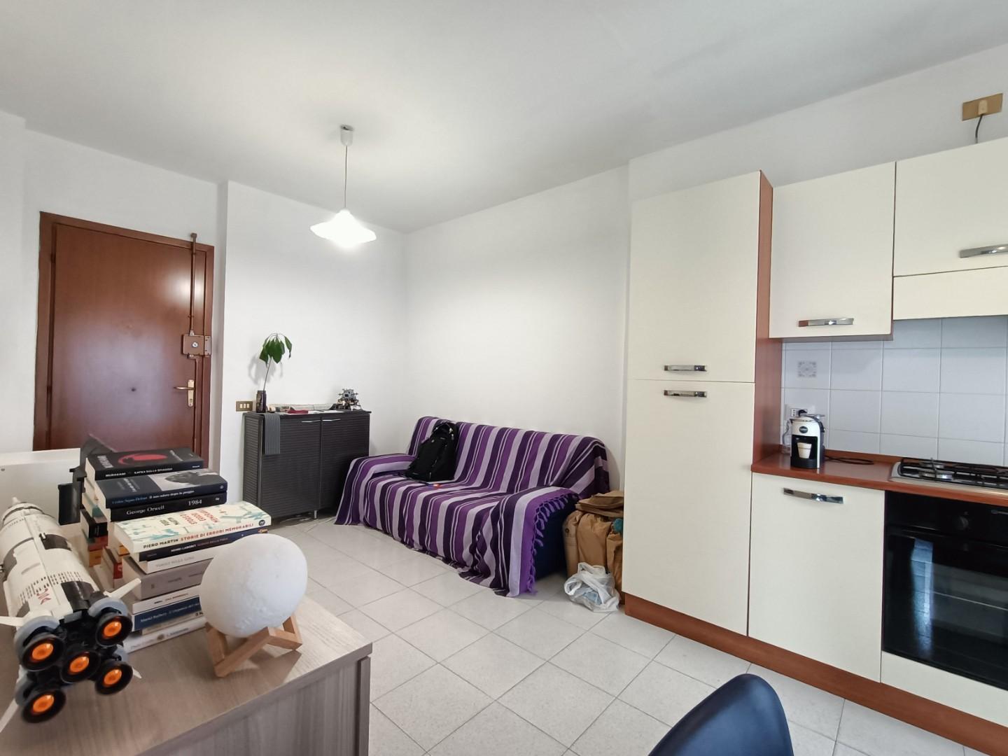 Bilocale arredato in affitto, Pisa cisanello