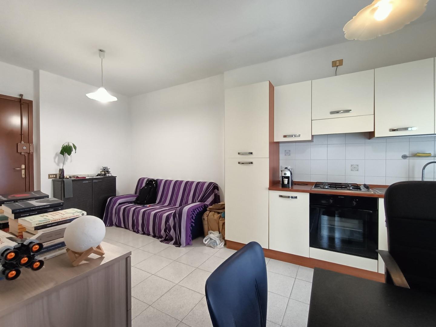 Bilocale arredato in affitto, Pisa cisanello