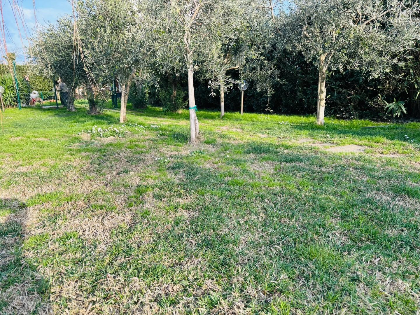 Rustico con giardino, Pisa marina di