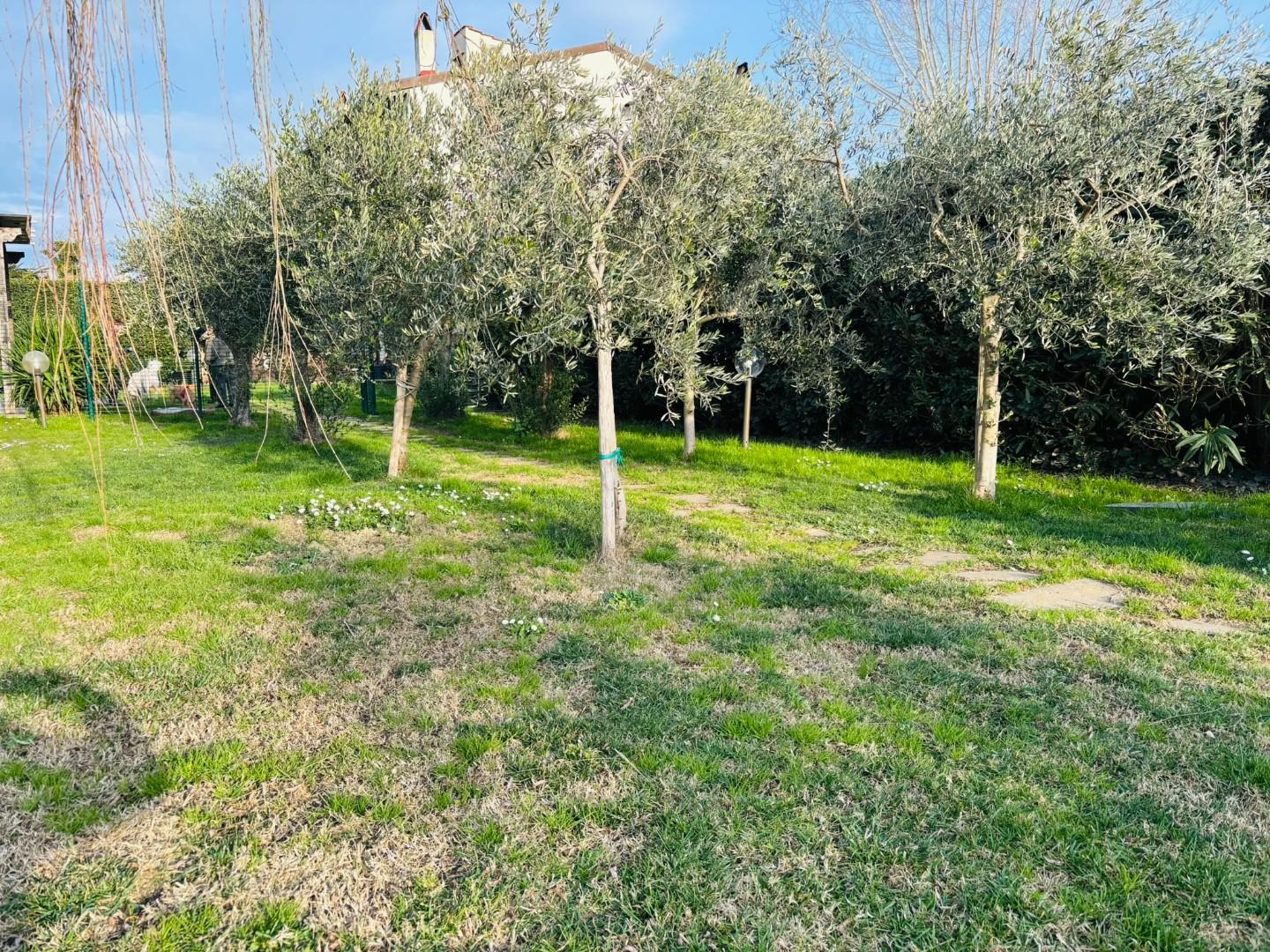 Rustico con giardino, Pisa marina di