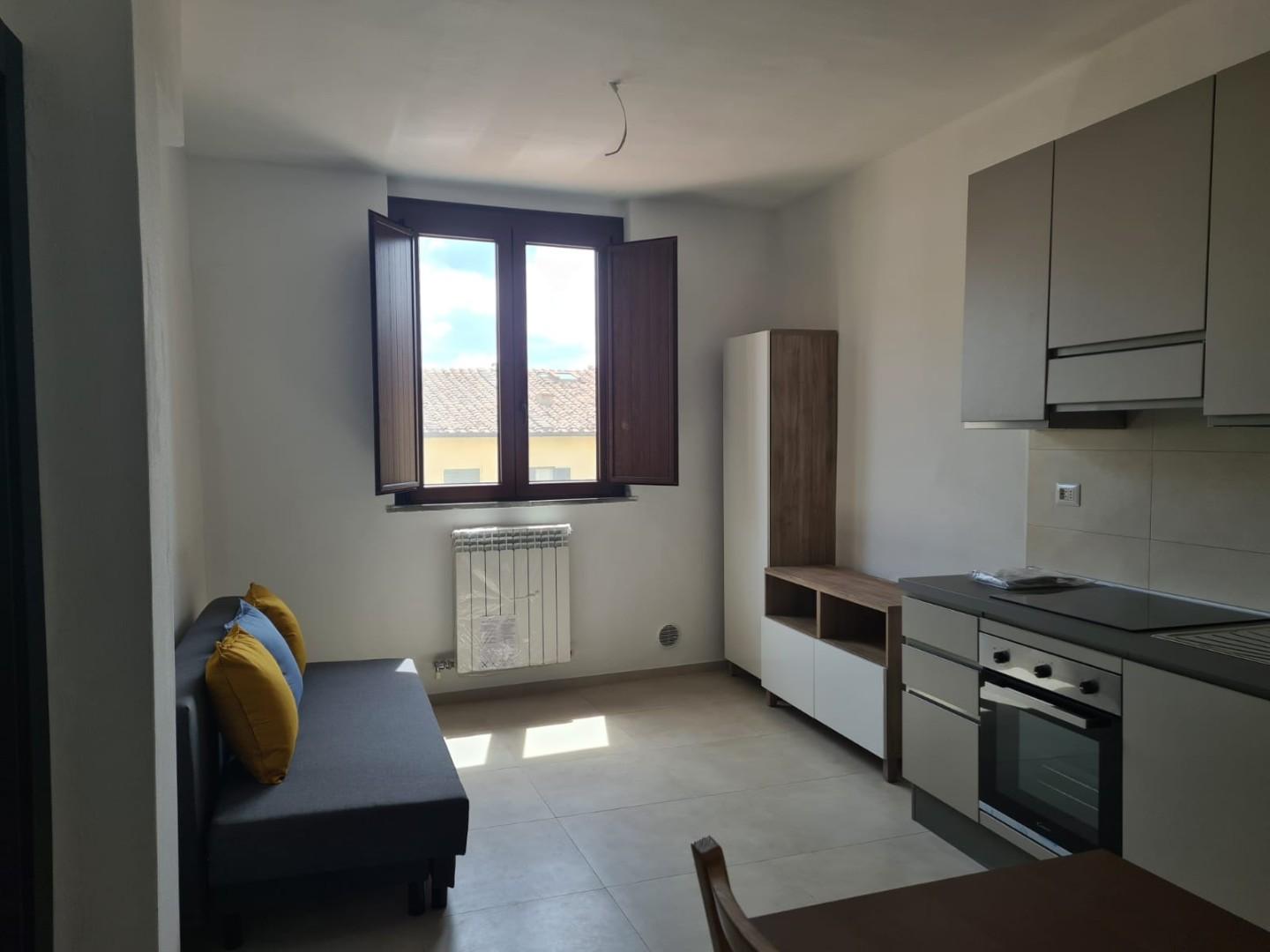 Bilocale arredato in affitto, Pisa san martino