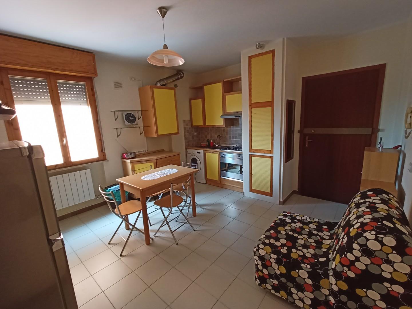 Bilocale arredato in affitto, Pisa nova