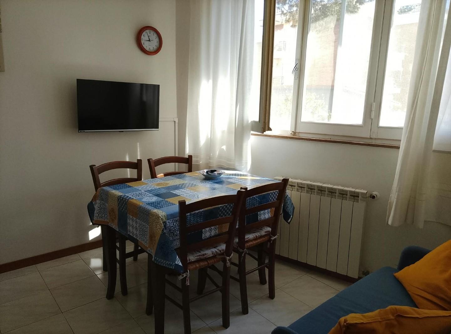 Bilocale arredato in affitto, Pisa tirrenia