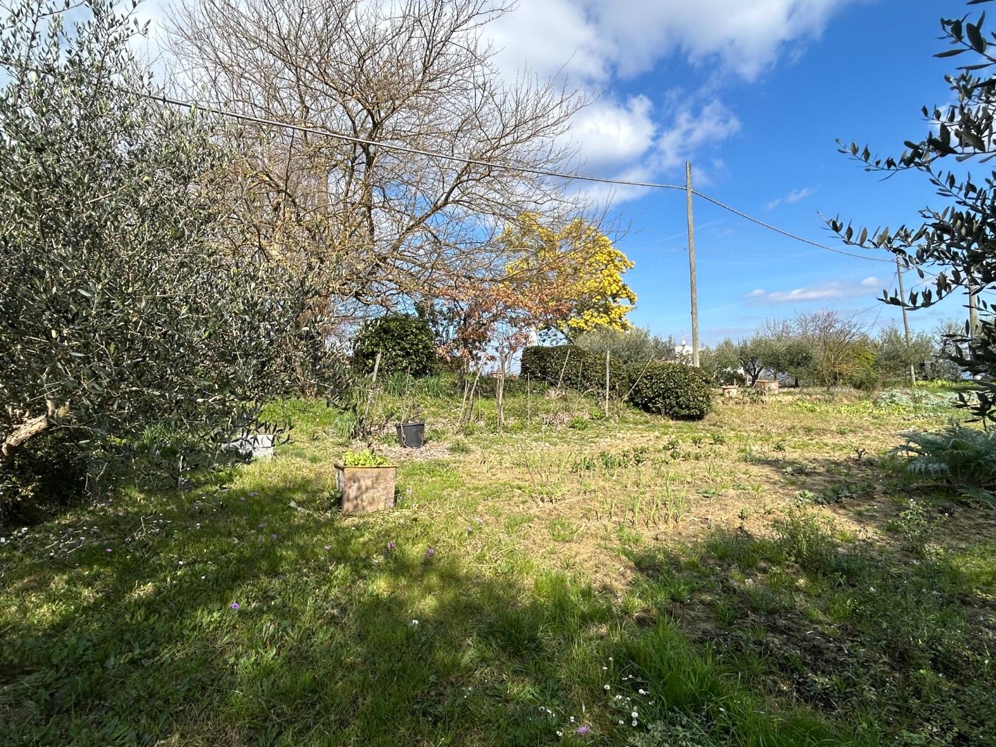 Casa indipendente con giardino, Fucecchio pinete