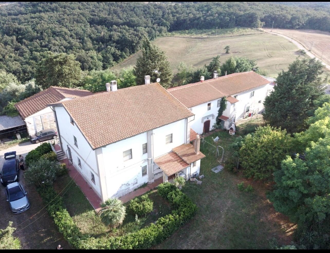 Appartamento con giardino a Collesalvetti